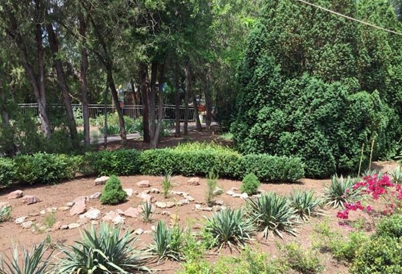 Сад ботанический в Евпатории